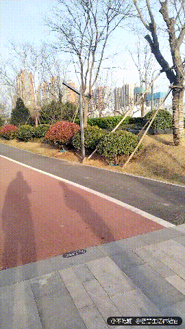 深圳十大电动滑板车排行榜(滑板车价格及图片)插图32