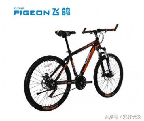 珠海十大品牌自行车排行榜(十大品牌自行车排行榜)插图