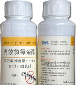 百树菊酯十大品牌排行榜(最新菊酯价格)插图