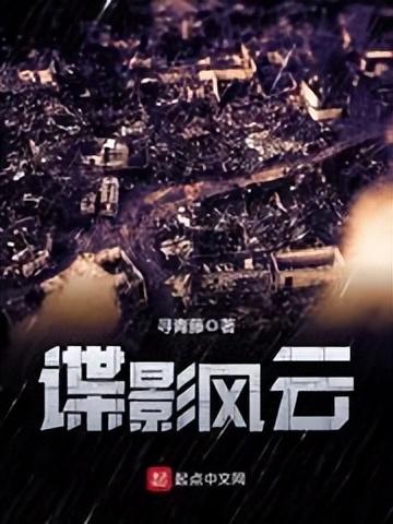 十大经典兵王小说排行榜(40本必看经典小说)插图7
