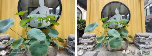 edge s pro什么手机(摩托罗拉edge s 论坛)插图13