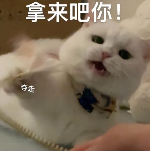 磁力搜索引擎入口 (手机网盘搜索神器)插图