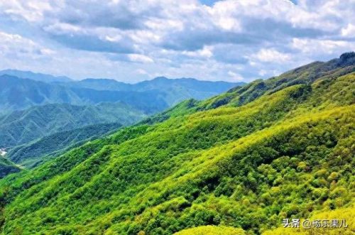 搜索商洛市十大景点排行榜(商洛一日游景点大全)插图1