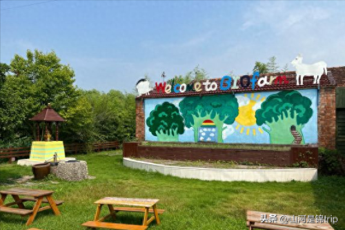 农家亲子乐园十大排行榜(农家亲子乐园)插图12