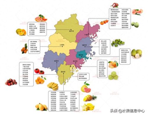 闽南十大水果排行榜图片大全(江西十大好吃水果)插图1