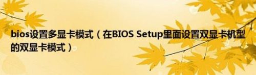 交换显卡配置怎么调(车上setup按键什么意思)插图