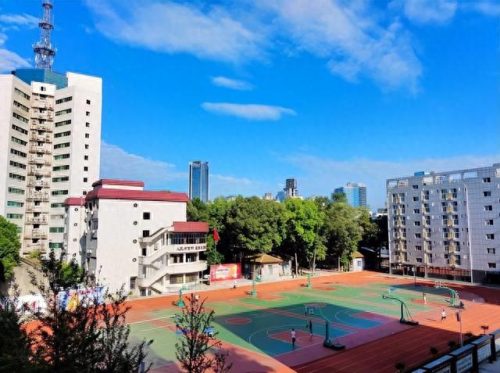 西部地区十大中学排行榜(金牛区十大最差中学)插图