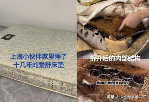 床垫十大品品牌排行榜卧虎(十大品牌床垫)插图5
