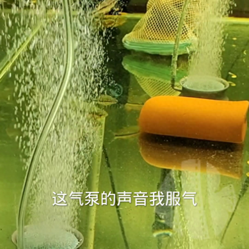 鱼缸增氧泵十大品牌排行榜(耐用鱼缸增氧泵排名)插图1