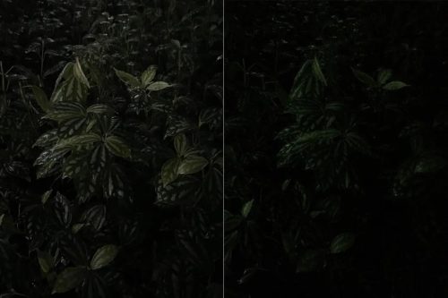 苹果5s刚刚出来的时候多少钱(苹果5s是哪年出的价格)插图20