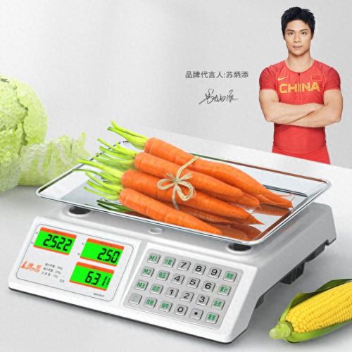 中国十大电子秤排行榜品牌(中国十大品牌前10名的电子秤)插图3