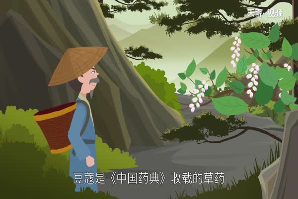 青葱岁月是指哪个年龄(青葱岁月豆蔻年华)插图4