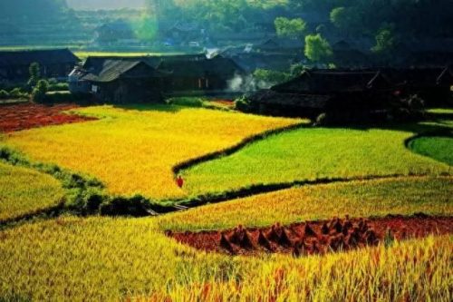 怀化地固十大排行榜(怀化必买的十大特产)插图23