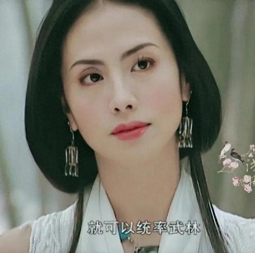 台湾公认十大美女排行榜(台湾女演员一览表)插图27