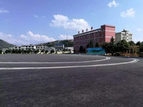 安顺最好的十大小学排行榜(昆山十大最好小学排名)插图