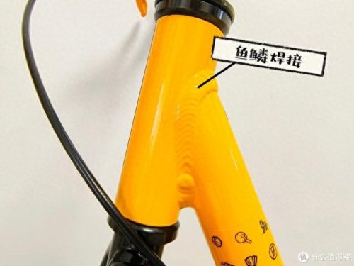 十大平衡车网红排行榜(网红小车平衡车)插图9