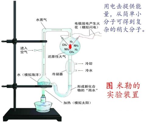 1953年米勒的模拟实验(米勒的实验支持哪个学说)插图