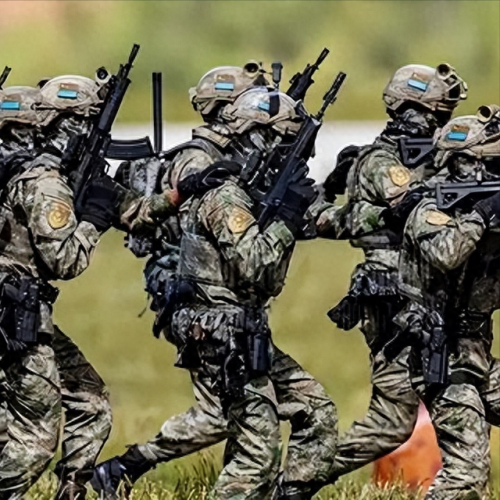 国家十大特种兵排行榜图片(特种兵十大必备技能)插图7
