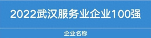 武汉十大车商排行榜最新(武汉车商排名前十名)插图4