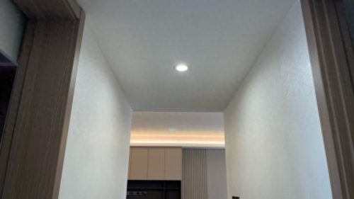国际艺术漆十大排行榜(进口艺术漆十大品牌排行榜)插图