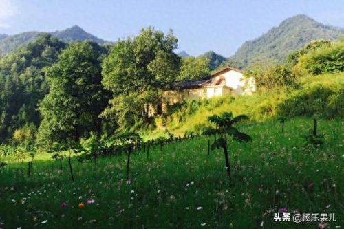 搜索商洛市十大景点排行榜(商洛一日游景点大全)插图37