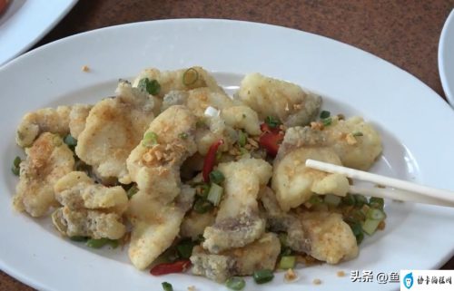80斤石斑鱼能卖多少钱(最普通的石斑鱼30斤卖多少钱)插图7