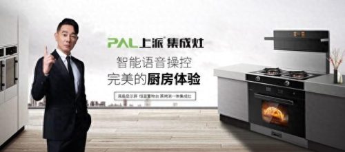 2019年十大集成灶排行榜(2023集成灶第一名)插图7