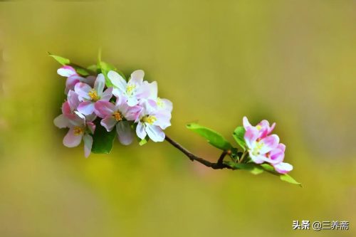 起承转合结构模式什么意思(起承转合结构模式)插图