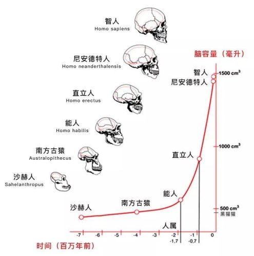 1953年米勒的模拟实验(米勒的实验支持哪个学说)插图7