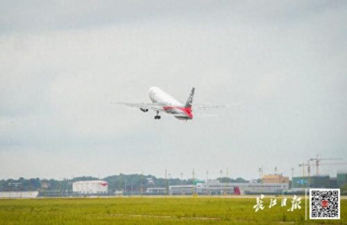 湖北义齿公司排名前十(全国义齿加工厂排名)插图1