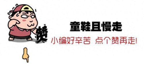 排名前十的狗洗澡(狗活泼排行榜)插图10