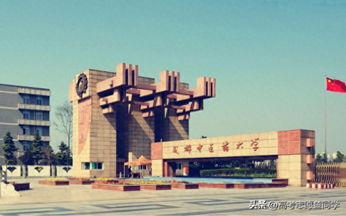 中医重点院校排名前十(上海最好中医医院排名)插图3