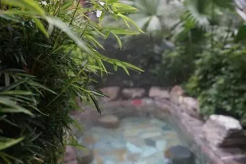 武汉前十洗浴中心排名(武汉最豪洗浴中心)插图57