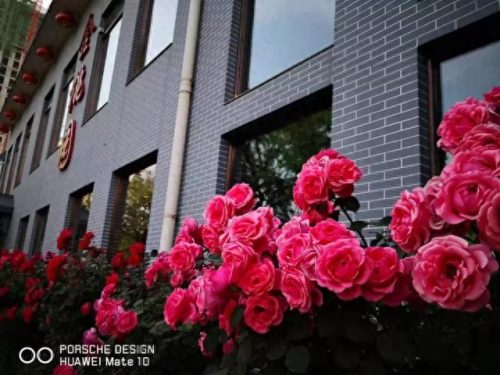 汾阳订婚酒店排名前十(汾阳八大碗哪家酒店正宗)插图8
