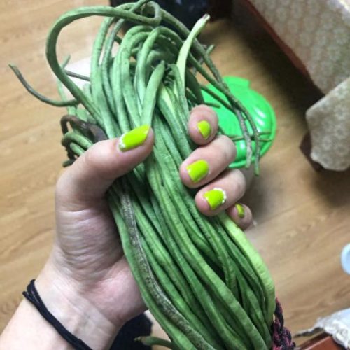 十大最丑的美甲品牌排行榜(美甲品牌排行前十名)插图18