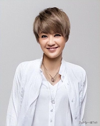 国内十大女中音演员排行榜(十大唱功最好的女明星)插图3