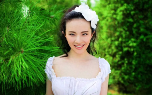 中国十大地区美女排行榜(中国顶尖漂亮美女模特)插图1