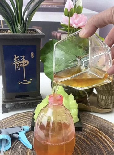 月季杀菌药十大排行榜(养月季的十大忌讳)插图3