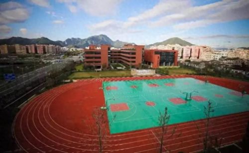 温州小学教育排名前十(温州好的小学排名一览表)插图17