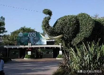 美国十大动物园排行榜(全球十大动物园排名)插图1