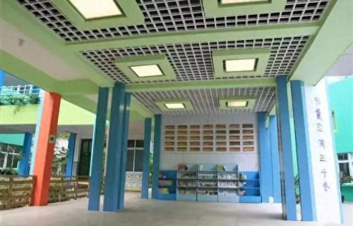 温州小学教育排名前十(温州好的小学排名一览表)插图29