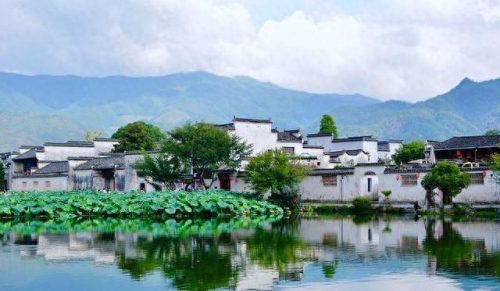 合肥周边茶山排名前十(六大茶山品牌的茶怎么样)插图14