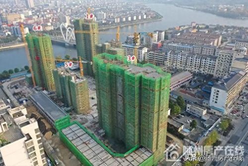 随州房产老板排名前十(湖北随州在湖北排名)插图17
