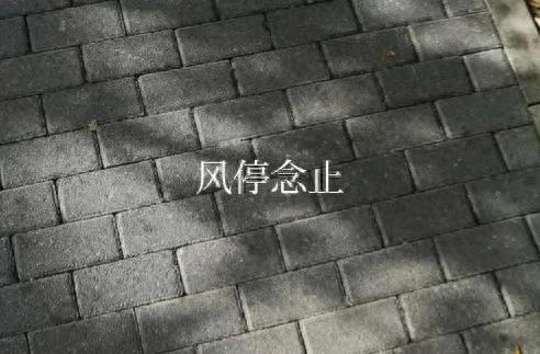 知乎十大推文排行榜最新(知乎推文男主姓秦女主姓温)插图7