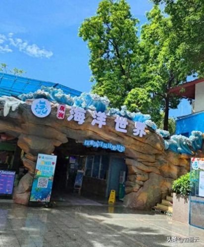 深圳十大好玩的景点排行榜(深圳好玩的免费景点排名)插图15