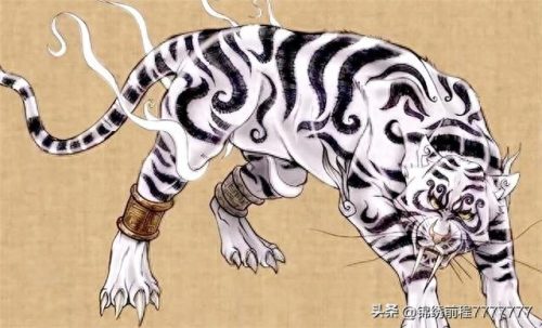 排名前十的神奇动物(排名前十的动物)插图4