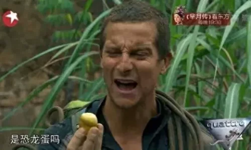 cnn 全球十大最恶心食物排行榜(全球最恶心的食物前十)插图5