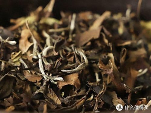 十大福鼎市白茶品牌排行榜(中国十大名茶)插图2