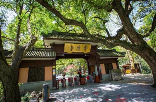 寺院排名前十的歌曲(寺院最火音乐)插图2