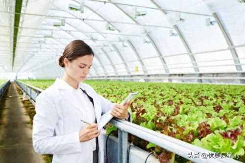 农药化肥学科排名前十(农药化肥对人体的危害)插图
